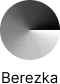 Berezka DAO